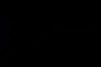
DSC00073